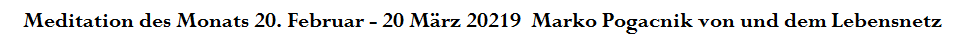 Meditation des Monats 20. Februar - 20 M�rz 20219  Marko Pogacnik von und dem Lebensnetz